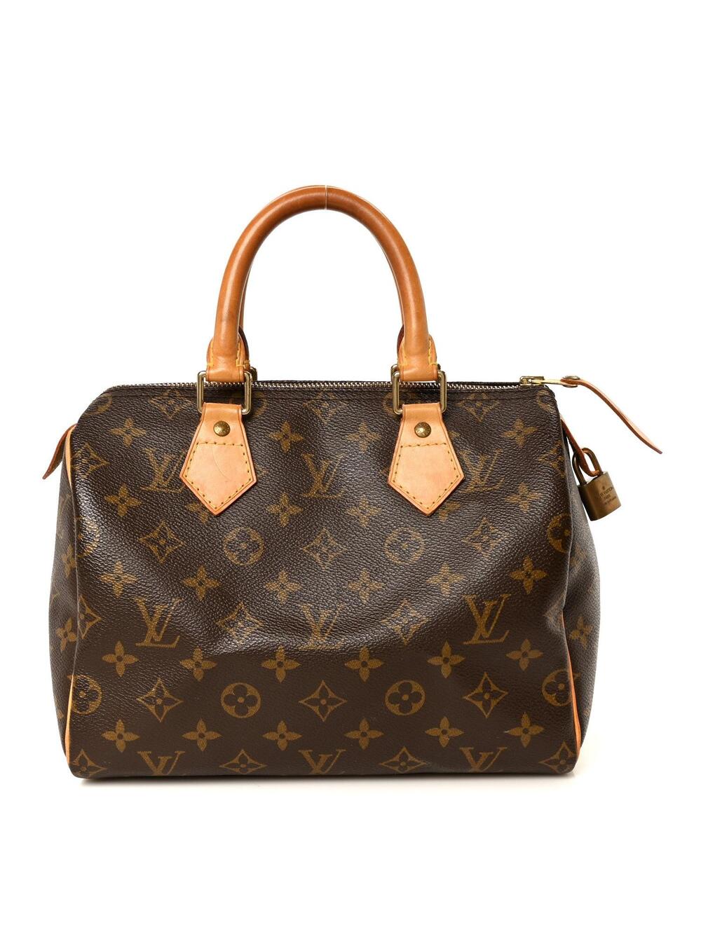 Louis Vuitton Speedy 25 #304001L16B